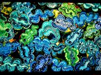 Meerestiere nachempfunden, 40 x 60 cm, Acryl auf Leinwand